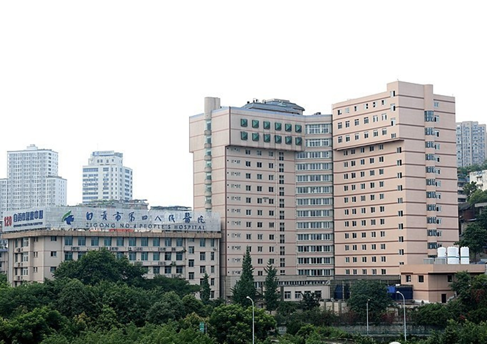 自貢市xx人民醫院機房監控項目